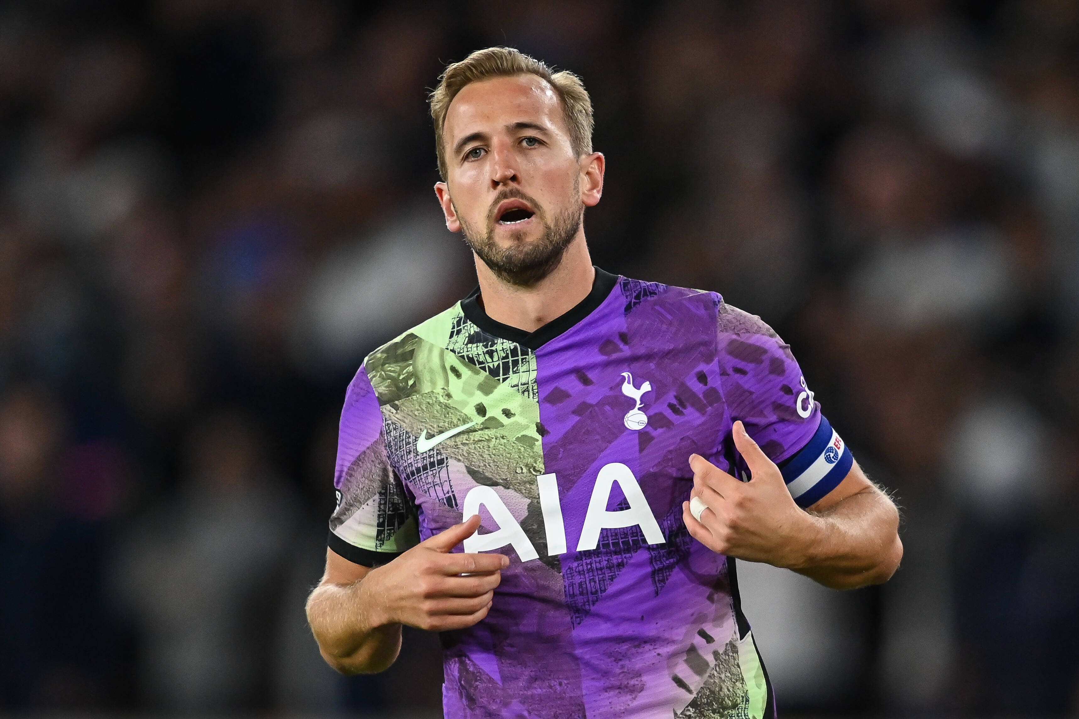 kane