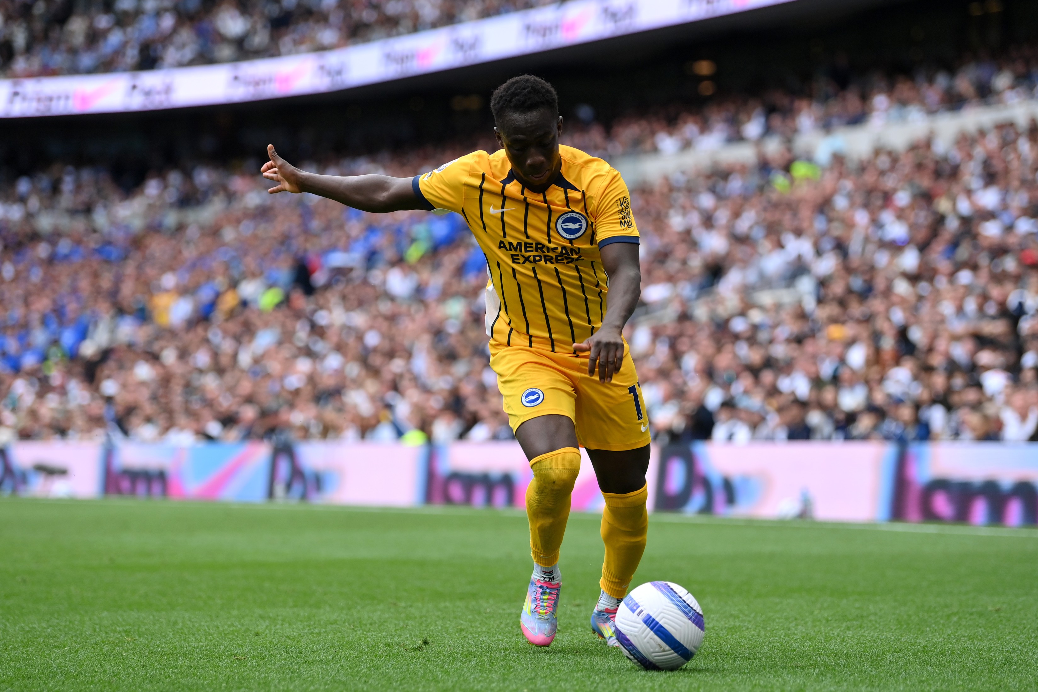 Yankuba Minteh of Brighton & Hove Albion during the Premier League match against Tottenham Hotspur