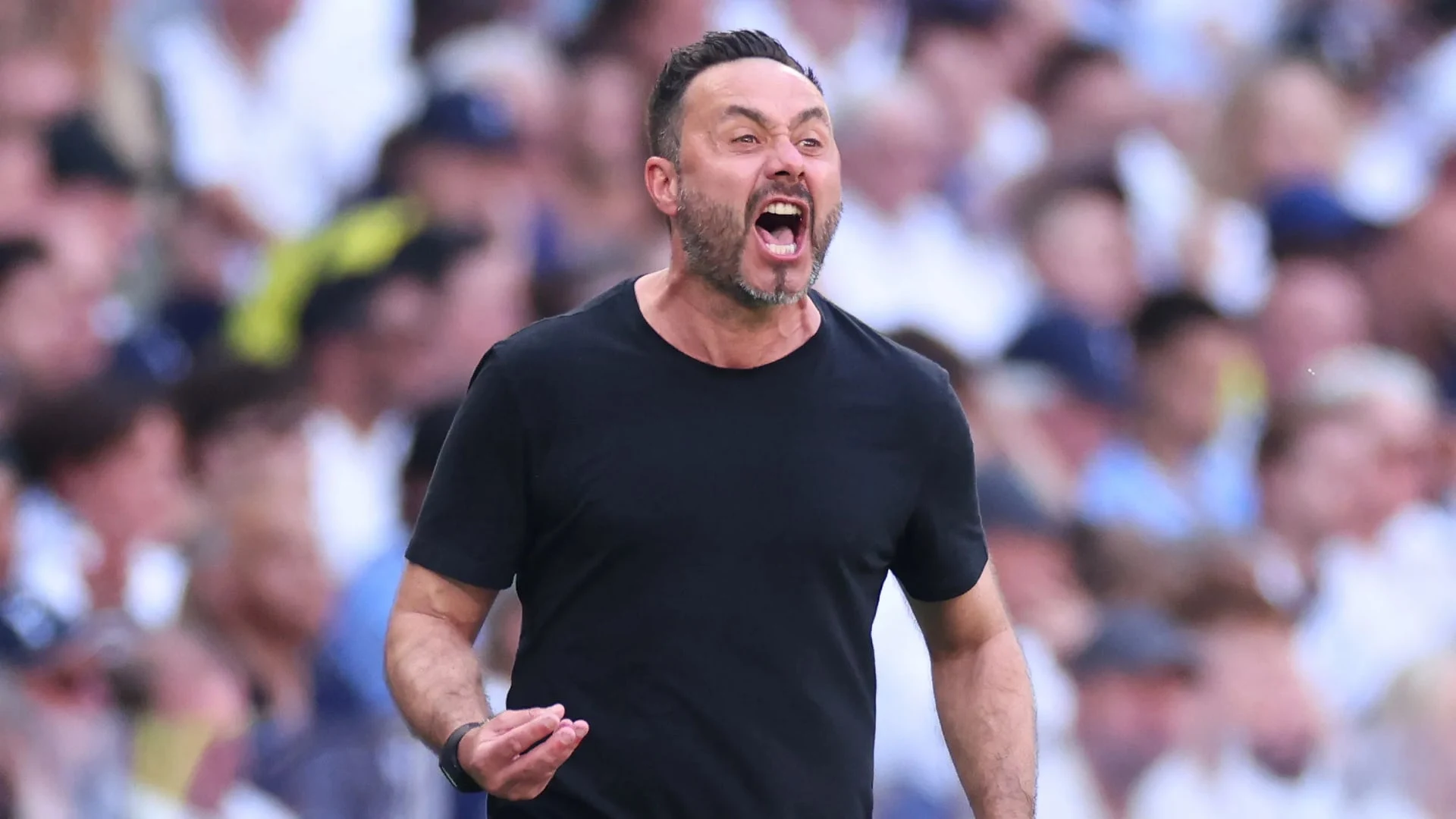 Roberto De Zerbi shouting during a football match